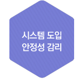 시스템 도입 안정성감리
