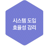 시스템 도입 효율성감리