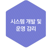 시스템 개발 및 운영감리