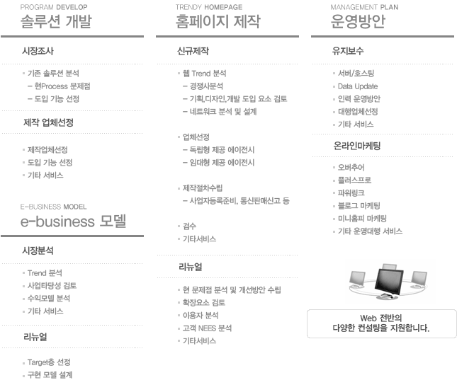 솔루션 개발, 홈페이지 제작, 운영방안, E-business 모델